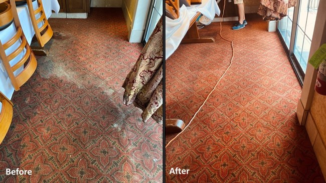 Power Chem-Dry cleans carpet in The Woodlands Texas