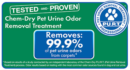Power Chem-Dry removes 99.9% of pet urine odors from carpets. Trust us to professionally clean and remove unwanted odors today!